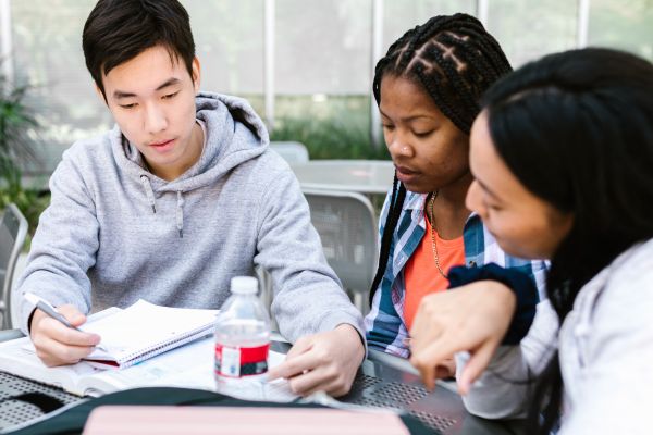 Educação Gratuita Transforma Vidas com Cursos Online no Brasil